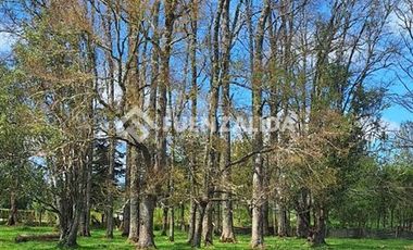 Agrícola en Venta en A 9 kilómetros de Fresia ruta V220