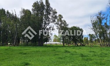 Agrícola en Venta en A 9 kilómetros de Fresia ruta V220