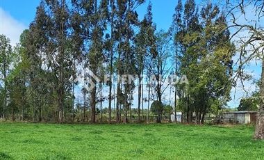 Agrícola en Venta en A 9 kilómetros de Fresia ruta V220