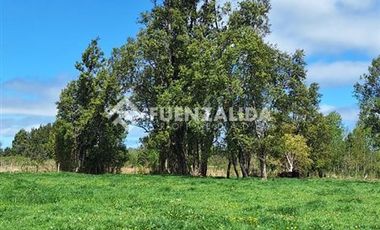 Agrícola en Venta en A 9 kilómetros de Fresia ruta V220