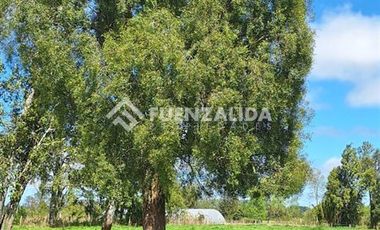 Agrícola en Venta en A 9 kilómetros de Fresia ruta V220