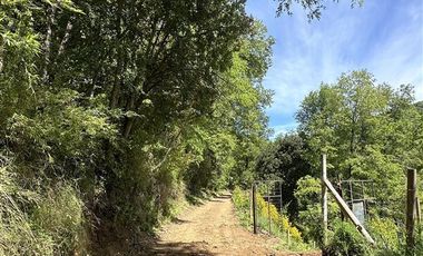 Sitio en Venta en Sitios Camino Termas de Chillan Km 48 Interior