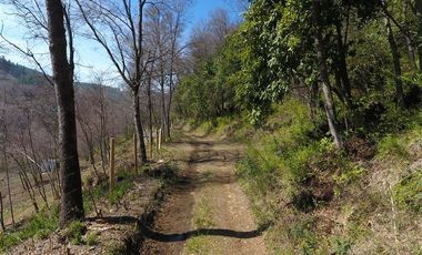 Sitio en Venta en Sitios Camino Termas de Chillan Km 48 Interior