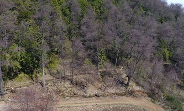 Parcela en Venta en Sitios Camino Termas de Chillan Km 48 Interior