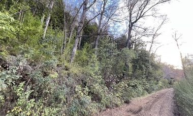 Parcela en Venta en Sitios Camino Termas de Chillan Km 48 Interior