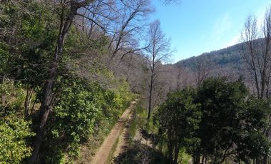 Parcela en Venta en Sitios Camino Termas de Chillan Km 48 Interior