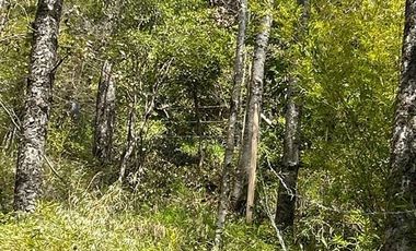 Parcela en Venta en Sitios Camino Termas de Chillan Km 48 Interior