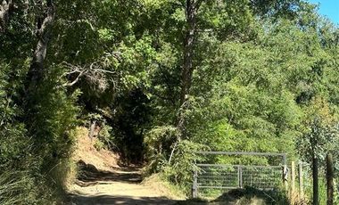 Parcela en Venta en Sitios Camino Termas de Chillan Km 48 Interior