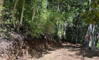 Parcela en Venta en Sitios Camino Termas de Chillan Km 48 Interior