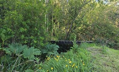 Parcela en Venta en Los Maitenes, Puerto Varas