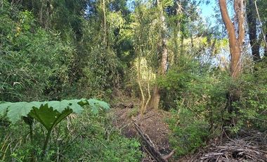 Parcela en Venta en Los Maitenes, Puerto Varas