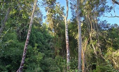 Parcela en Venta en Los Maitenes, Puerto Varas