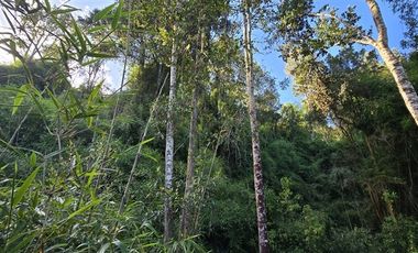 Parcela en Venta en Los Maitenes, Puerto Varas