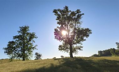 Sitio en Venta en Condominio los Robles