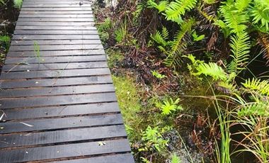 Sitio en Venta en Condominio los Robles