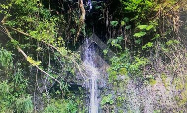 Sitio en Venta en Colico