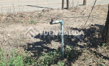 Agrícola en Venta en La Viñita