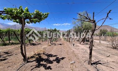 Agrícola en Venta en La Viñita