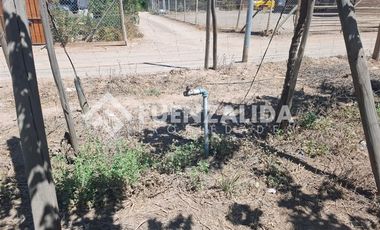 Agrícola en Venta en La Viñita