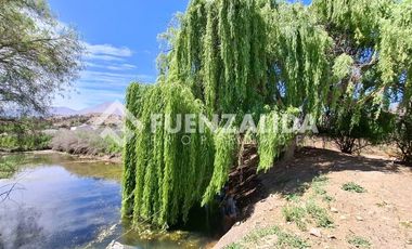 Agrícola en Venta en La Viñita