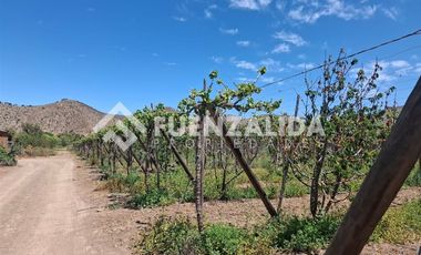 Agrícola en Venta en La Viñita