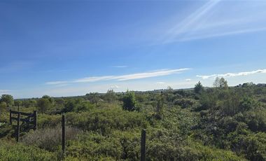 Parcela en Venta en Parcelación Bosque Vida Sector la laja