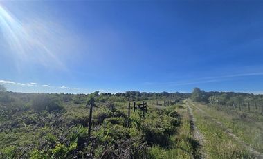 Parcela en Venta en Parcelación Bosque Vida Sector la laja
