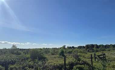 Parcela en Venta en Parcelación Bosque Vida Sector la laja