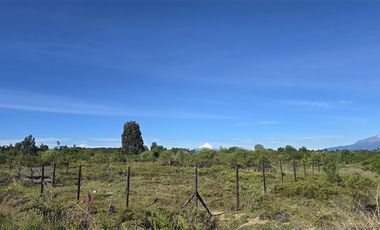 Parcela en Venta en Parcelación Bosque Vida Sector la laja