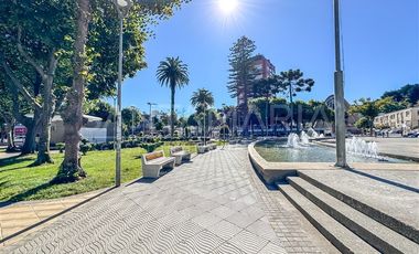 Oficina en Arriendo en San Martin, Talcahuano