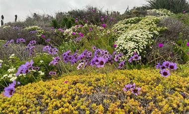 Casa en Venta en Condominio Costa Dorada