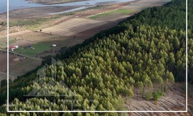 Parcela en Venta en Iloca