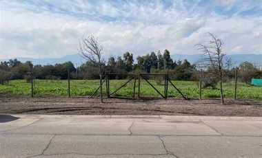 Sitio en Venta en Condominio Los Algarrobos 4 B