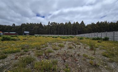 Parcela en Arriendo en COMPLEJO INDUSTRIAL ENLACE SUR