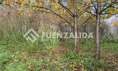 Casa en Arriendo en Llanquihue