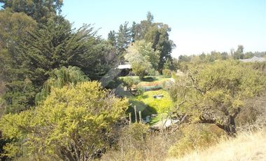 Sitio en Venta en Las Cabras, Lago Rapel, Laguna Princesa