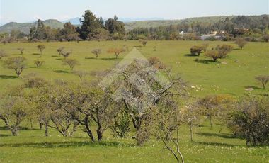 Sitio en Venta en Las Cabras, Lago Rapel, Laguna Princesa