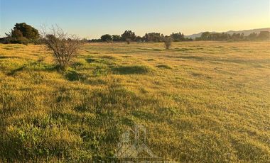 Parcela en Venta en Sector Las Paredes