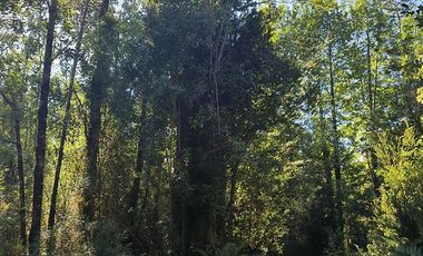 Parcela en Venta en Butalcura-Dalcahue