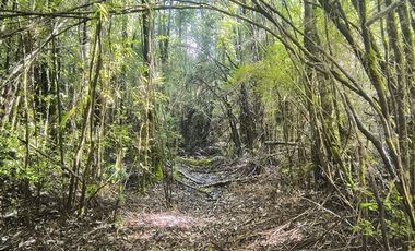 Parcela en Venta en Butalcura-Dalcahue