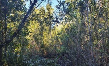 Parcela en Venta en Butalcura-Dalcahue