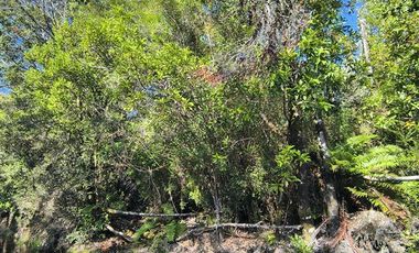 Parcela en Venta en Butalcura-Dalcahue