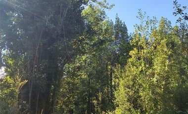 Parcela en Venta en Butalcura-Dalcahue