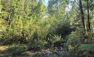 Parcela en Venta en Butalcura-Dalcahue