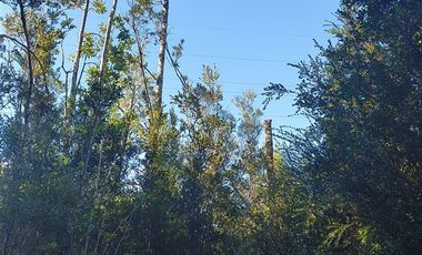 Parcela en Venta en Butalcura-Dalcahue