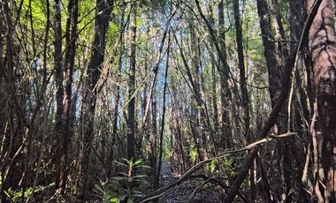 Parcela en Venta en Butalcura-Dalcahue