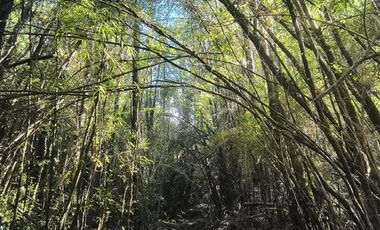 Parcela en Venta en Butalcura-Dalcahue