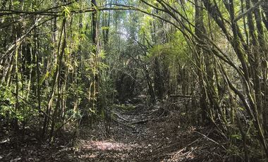 Parcela en Venta en Butalcura-Dalcahue