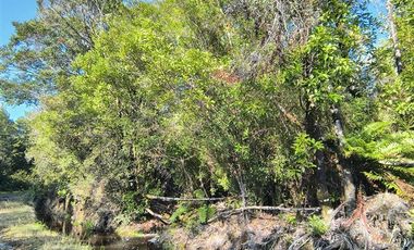 Parcela en Venta en Butalcura-Dalcahue