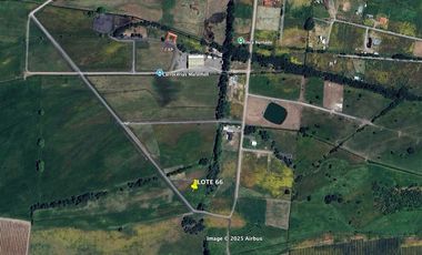 Parcela en Venta en Parcela 5.000 m2 en San Carlos - Ruta 5 Sur